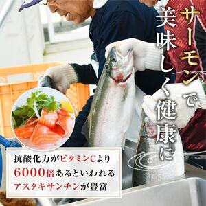 琴浦グランサーモン 1kg （500g×2P） 鳥取 活〆 冷蔵 生フィレ サーモン