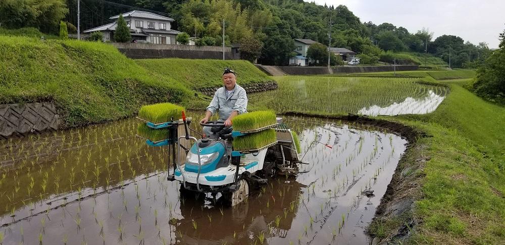 大分県産ひのひかり「ゆふ清流米」【7分つき】5kg