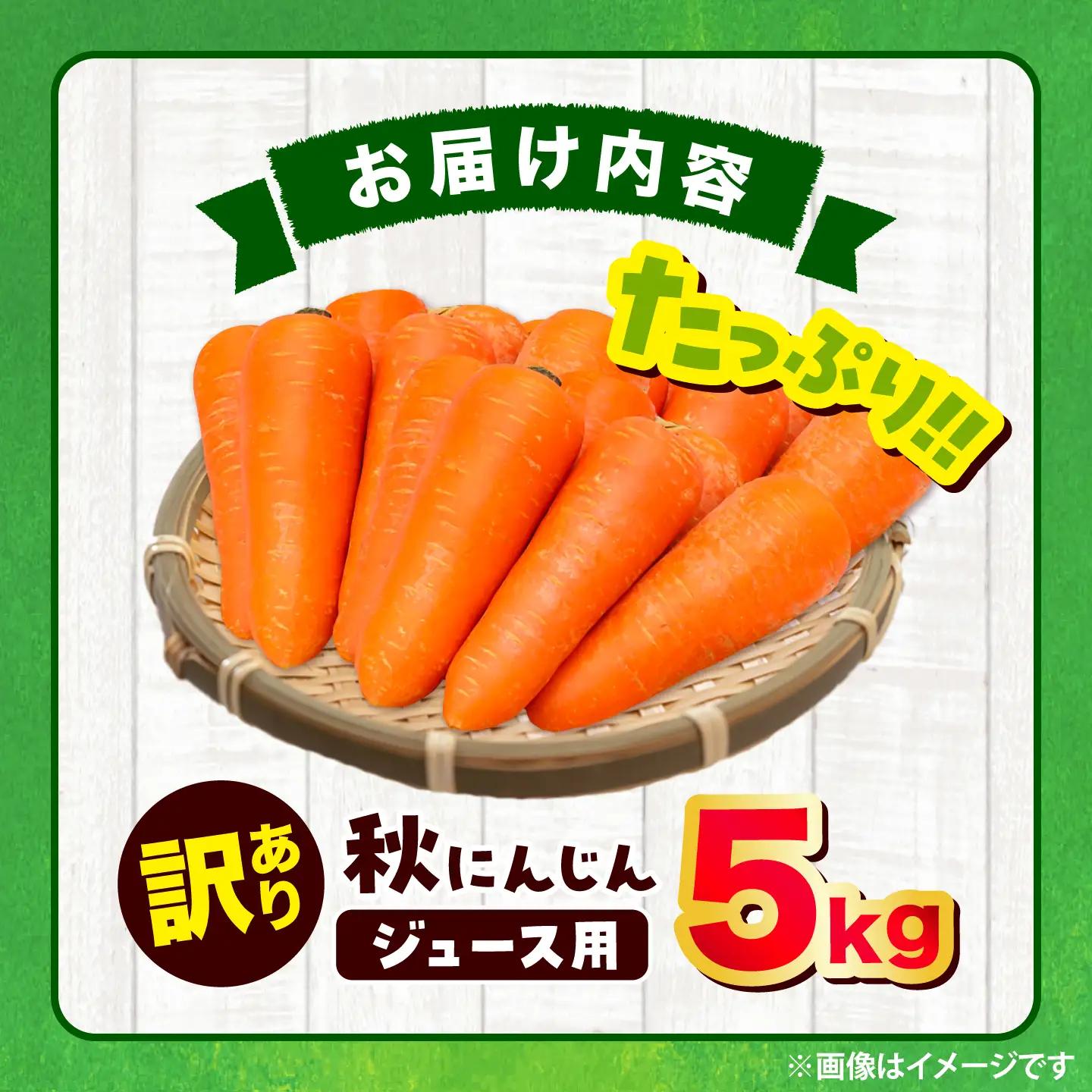 【先行予約】【2026年12月順次発送開始】ジュース用秋にんじん5kg (訳あり) / にんじん ニンジン 規格外 ジュース β-カロテン 食物繊維 抗酸化作用 熊本県産 菊陽町 【株式会社 まゆみ農