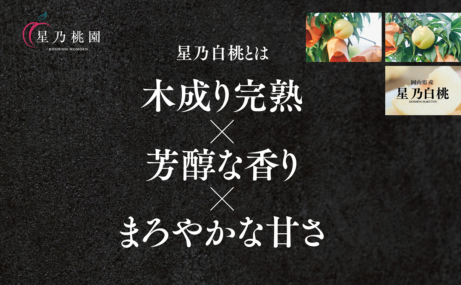 【星乃白桃】岡山県産 三つ星 セレクト白桃 780g (3玉)【配送不可地域：離島・北海道・沖縄県】