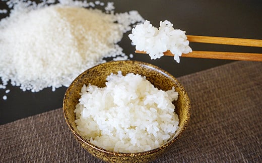 【令和8年産】きぬむすめ5kg（新米収穫後の10月以降発送）