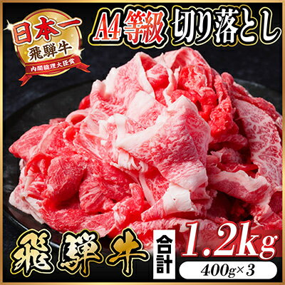 【ふるさと納税】飛騨牛　厳選切り落とし　1.2kg(400g×3)　A4～A5等級　【冷凍便】　黒毛和牛　小分け【配送不可地域：離島】【1487292】