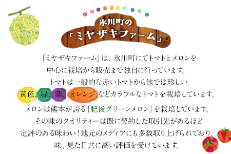 【先行予約】「ミヤザキファーム」 肥後グリーンメロン2玉 糖度14度以上(14度-17度) 熊本県氷川町産《6月中旬-6月末頃出荷》