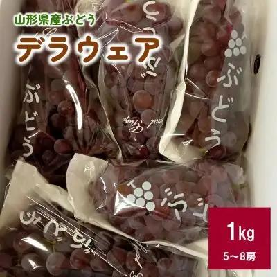 ぶどう（デラウェア）１ｋｇ　0142-2601