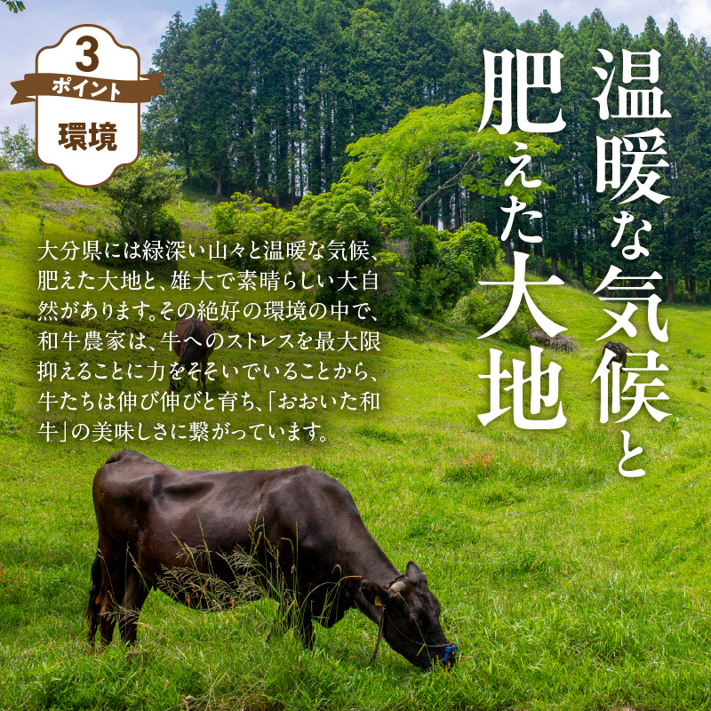【黒毛和牛】 A4～A5等級 おおいた和牛 ランプステーキ 600g (200g×3枚) 赤身 BBQ 焼肉 厚切り モモ 国産 希少部位_2373R-2