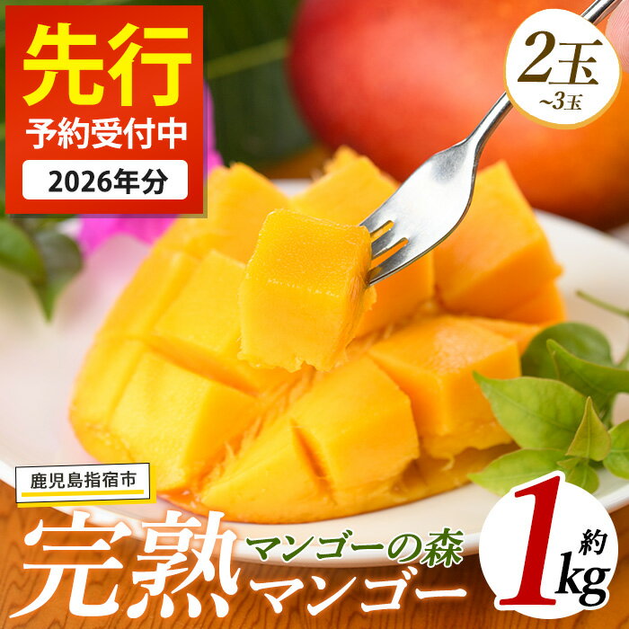 【ふるさと納税】＜先行予約受付中！2026年7月上旬以降順次発送＞指宿産しあわせ完熟マンゴー(約900g〜1kg・2〜3玉) 国産 南国 指宿産 鹿児島 アップルマンゴー マンゴー 果物 くだもの フルーツ 完熟 産地直送 お取り寄せ 夏 ギフト 贈答用【マンゴーの森】