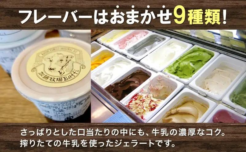 ジェラート加藤牧場ノンホモ低温殺菌牛乳ジェラート【9個】【冷凍】