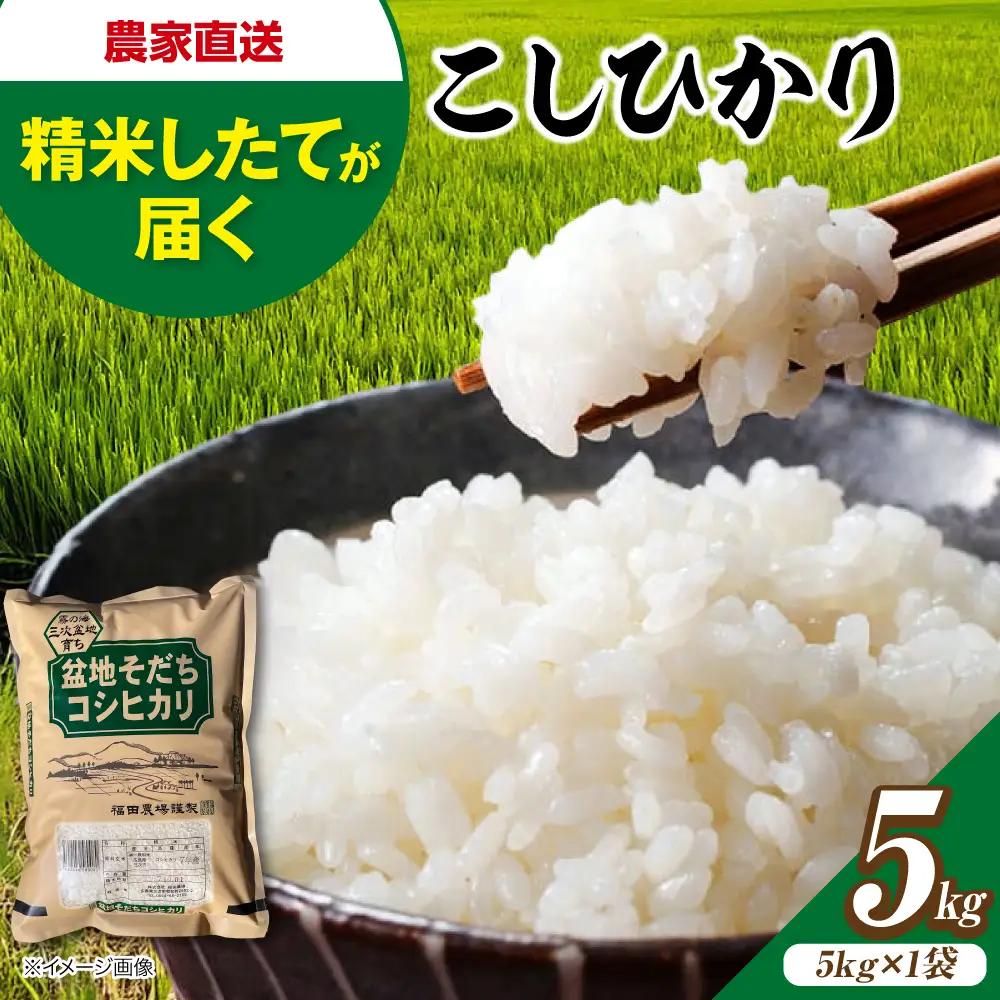 こしひかり 5kg コシヒカリ 最短3日発送 令和7年産  [APBM027]