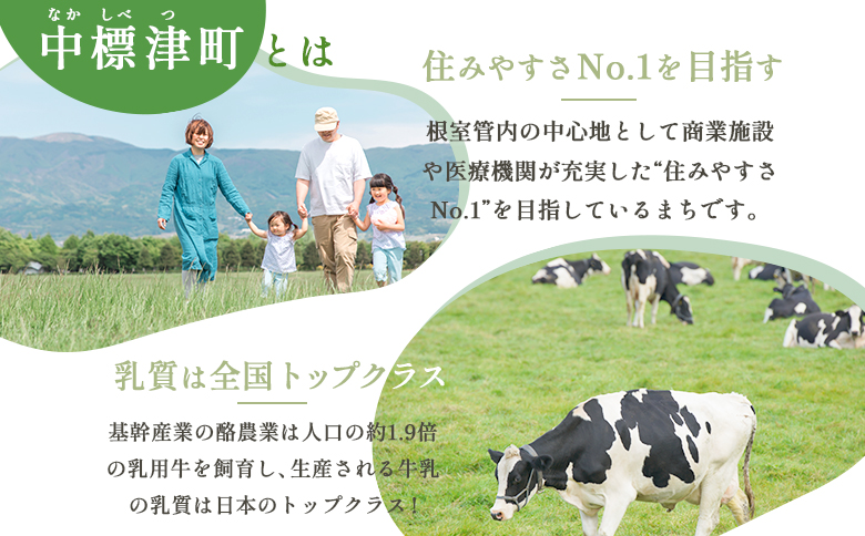 中標津町への応援寄附 100,000円(返礼品なし)【10008】_イメージ2