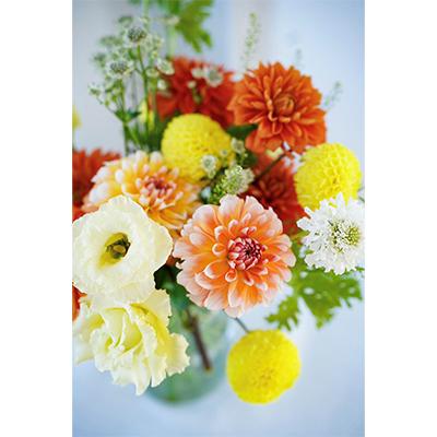ふるさと納税 芸西村 【毎月定期便】芸西村産季節の生花花束 ブーケM 初回花瓶付 毎回延命剤付 全6回 |  | 03