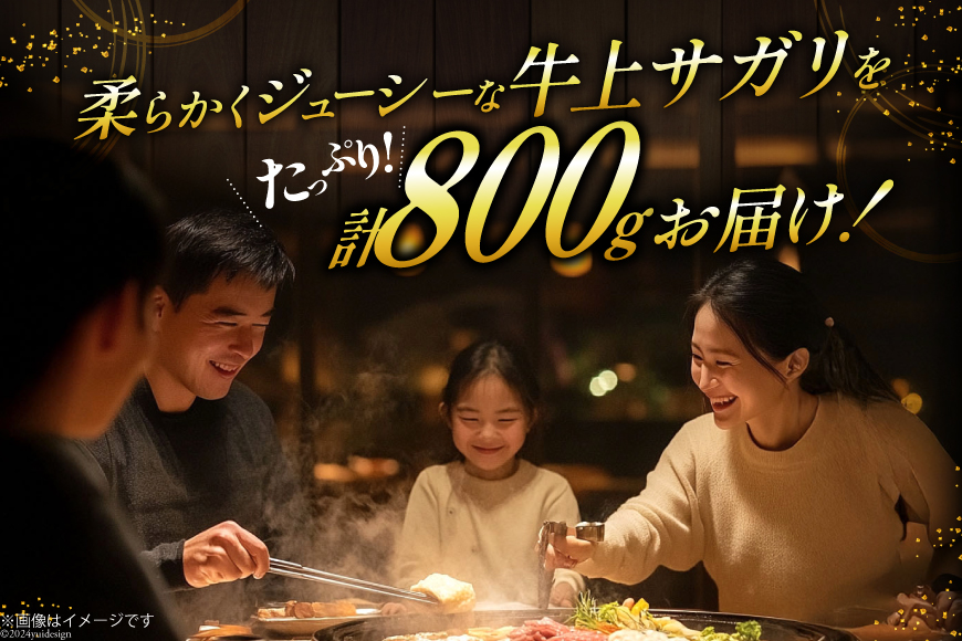 サガリ 牛 上サガリ 200g 4パック 計800g [焼肉銀座園 北海道 砂川市 12260732-b] 冷凍 焼肉 焼き肉 牛肉 肉 小分け やきにく