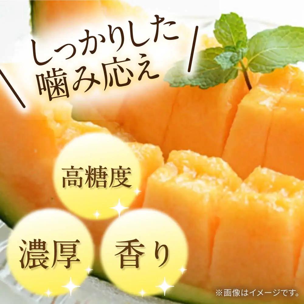 【2027年5月-発送】タカミメロン レッド 1玉 / メロン めろん フルーツ 果物 / 南島原市 / 南島原果物屋[SCV029]