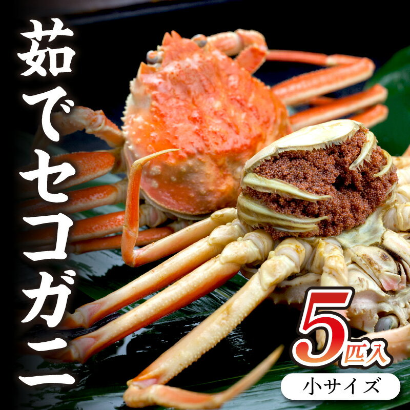 【ふるさと納税】驚きの旨さ！茹でセコガニ 【厳選】 小サイズ5匹入 ボイル セイコガニ せこがに せいこがに 松葉がに 松葉ガニ まつばがに まつばガニ 海鮮 魚介 魚介類 ふるさと納税 蟹 カニ ふるさと納税 海鮮 京都 丹後 送料無料