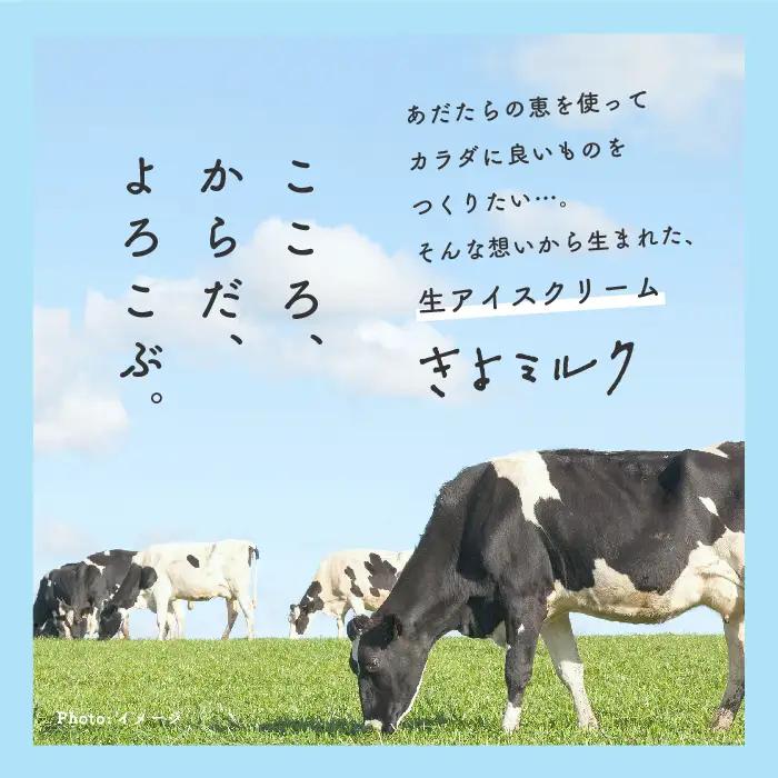 《2026年12月中旬以降順次発送》無添加にこだわったソフトクリーム！「きよミルク」12個入【あだたらのちち株式会社】