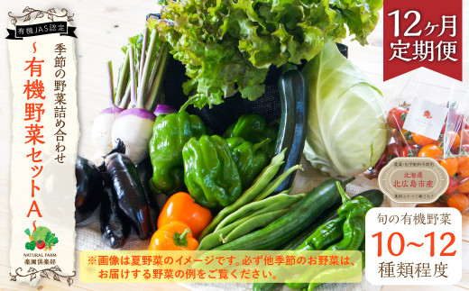 【12ヶ月定期便】有機JAS認定 季節の野菜 詰め合わせ 有機野菜セットA 10〜12種類 旬の野菜 12回 オーガニック おまかせ 野菜 定期 栽培期間中農薬・化学肥料不使用 新鮮 北広島市産 国産 冷蔵 北海道 北広島市