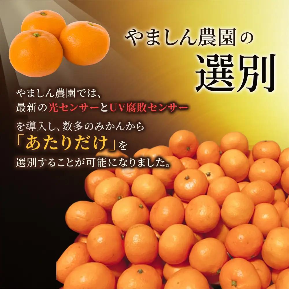 みかん 極 有田みかんプレミアム 約5kg【nuk155G】