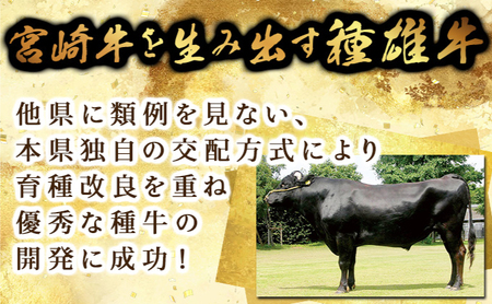 KU424 宮崎牛 肩ローススライス 計600g（300g×2）
