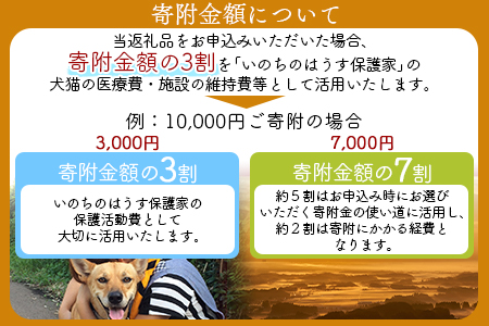 ＜保健所犬猫レスキュー【返礼品なしのご寄附】＞寄付金額50,000円※お礼状をお送りいたします。【 犬 猫 動物 ペット 寄附 保護 いのちのはうす保護家 】