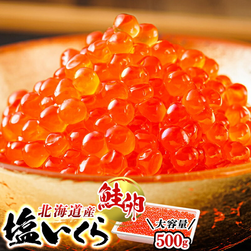 【ふるさと納税】 北海道産 いくら塩漬け 500g 鮭卵 国産 塩いくら sio すぐ 届く 北海道 釧路町 釧路超 特産品 br01