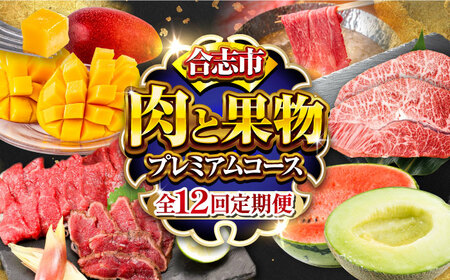 【全12回定期便】合志市肉と果物定期便プレミアムコース[AYZZ011]