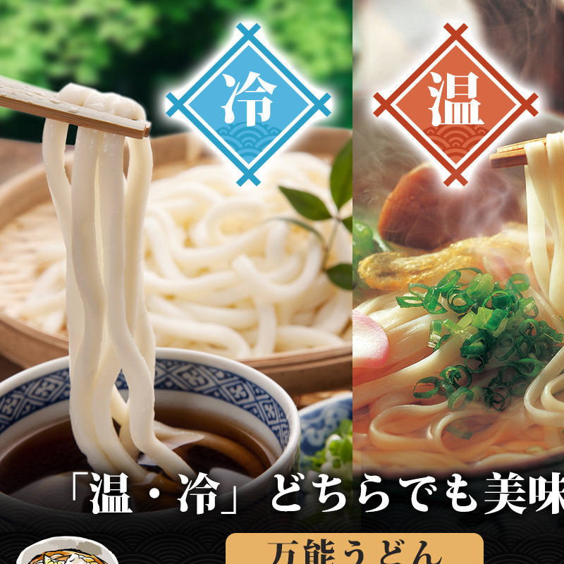 うどん 赤ちゃんが食べられる喉越しの良い 象潟うどん 220g×10束 セット （20人前） 乾麺 麺 離乳食 赤ちゃん 子ども ご当地 ご当地グルメ 長期保存 保存食 非常食 備蓄食 災害 防災 備