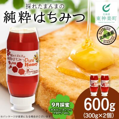 ふるさと納税 東神楽町 東神楽産採れたまんまの純粋はちみつ 300g2個【9月採蜜】