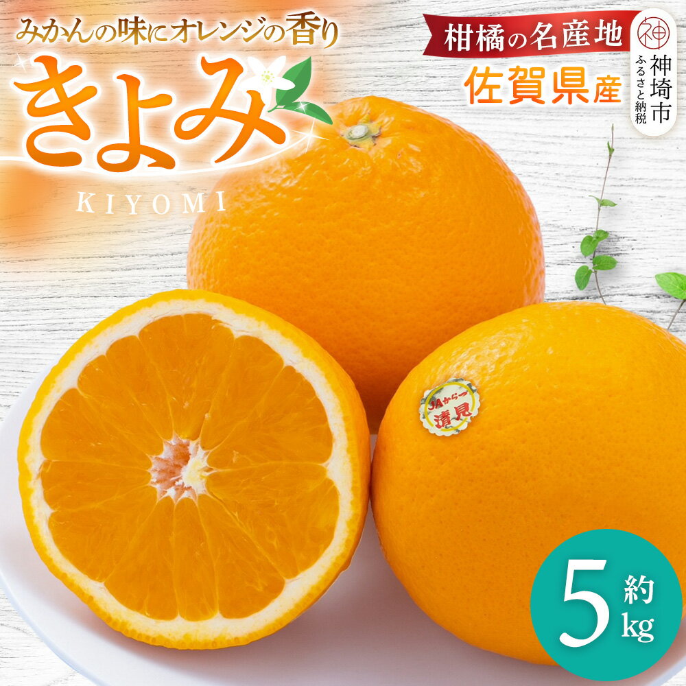 【ふるさと納税】【先行受付 令和8年3月より発送】佐賀県産柑橘『清見』約5000g【フルーツ 果物 みかん オレンジ 柑橘 デザート ふるさと納税】(H108110)