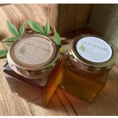 ふるさと納税 山鹿市 【熊本県北山麓はちみつ】日本みつばち菊鹿・日本みつばち山鹿2本セット