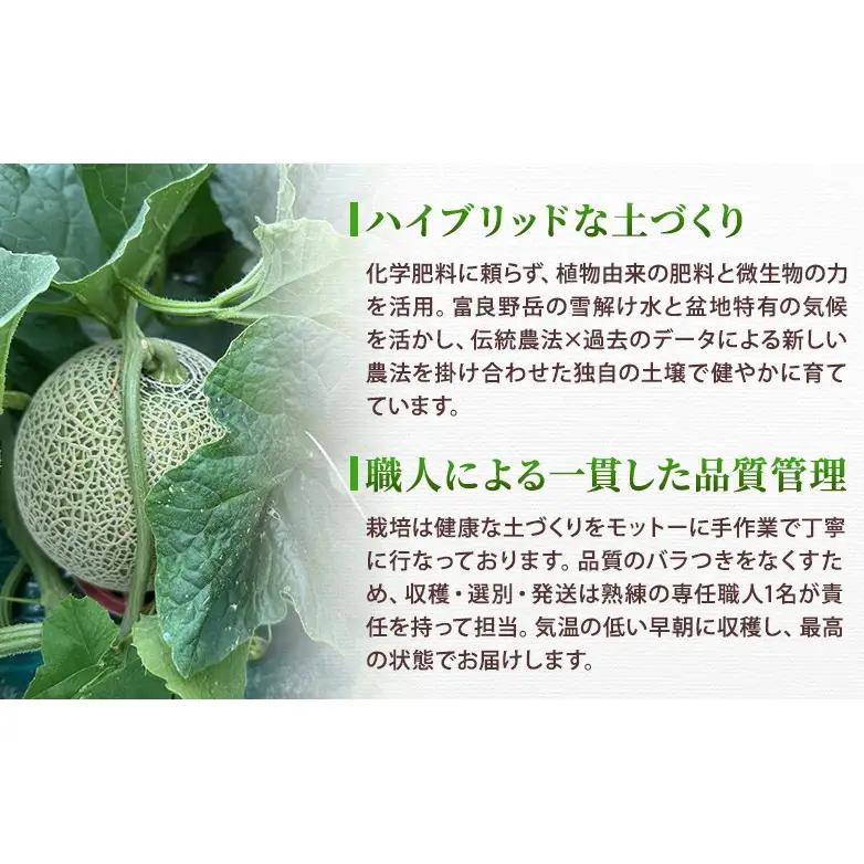 ＜2026年発送＞富良野メロン (赤肉) 品種おまかせ 約1.8kg～/2玉 [ メロン フルーツ 果物 北海道 富良野 ]