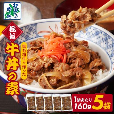 ふるさと納税 泉佐野市 美味しくなってリニューアル!【黒毛和牛】で作った極旨牛丼の素(160g×5袋) 099H3432