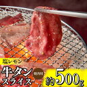【ふるさと納税】塩レモン牛タンスライス・焼肉用（約500g）.A1463