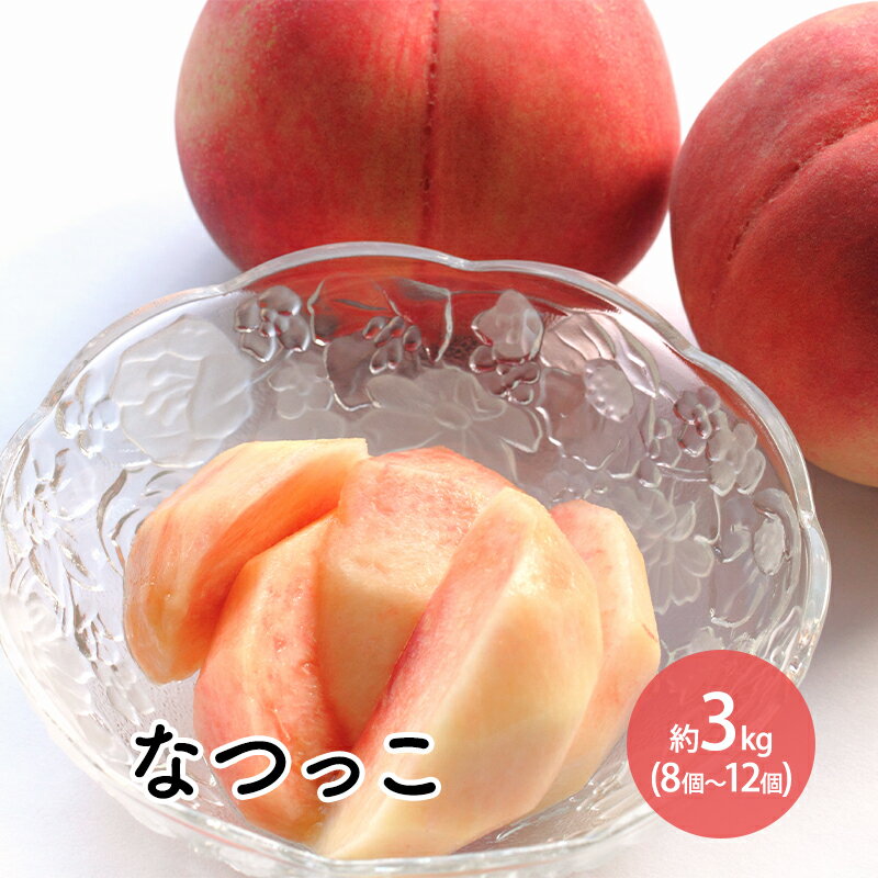 【ふるさと納税】なつっこ約3kg（8個～12個） 　お届け：2025年8月上旬～8月中旬まで