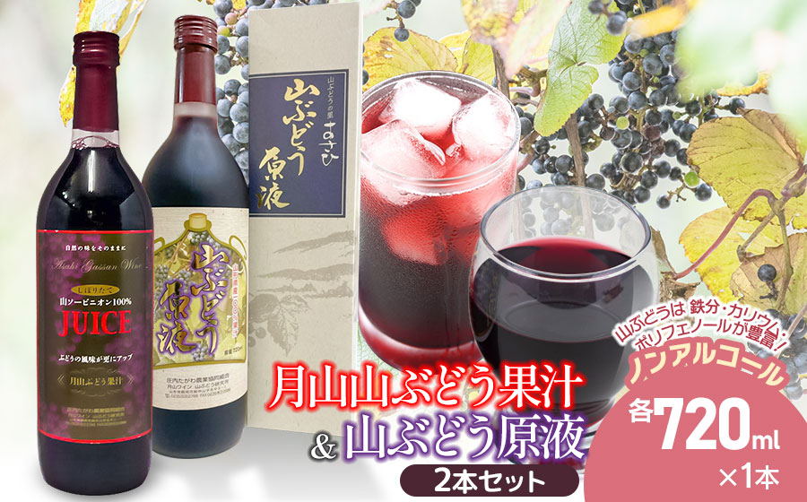 月山山ぶどう果汁・原液セット 各720ml×1本　山形県鶴岡市 庄内観光物産館事業部　| ぶどう 果汁 ブドウジュース 果汁100% 果汁飲料 飲料 飲み物 セット ジュース 果汁 山ぶどう 山形県 鶴岡市 返礼品