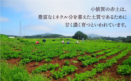 【全3回定期便】【濃厚！】HAO！ピーナッツペースト 2本 《小値賀町担い手公社》 ピーナッツバター ピーナッツ   [DAA012]