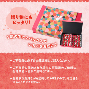 ★予約受付★平川いちご農園 佐賀県玄海町産いちご「いちごさん」2025年1月～4月順次配送【D024】