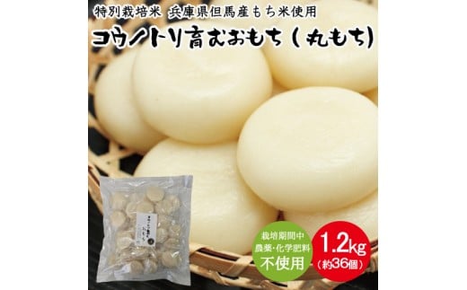 特別栽培米 兵庫県但馬産 コウノトリ育むおもち（丸餅） 2袋 1.2kg（約36個）