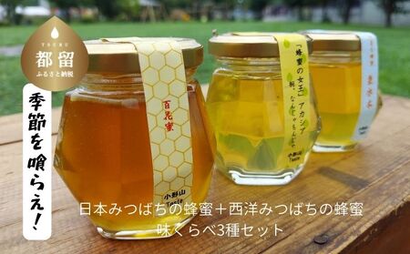 日本みつばちの蜂蜜＋西洋みつばちの蜂蜜　味くらべ3種セット 100ｇ×3