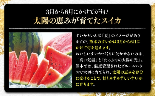 【 3か月定期便 】 熊本 すいか 食べ比べ 定期便 （ 3月 ・ 4月 ・ 5月発送 ） 果物 フルーツ 果実 果汁 果肉 国産 冷蔵 定期 定期配送 旬 旬の果物