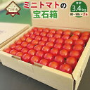 【ふるさと納税】まごころミニトマトの宝石箱 1.7kg×2箱 計3.4kg 約160～220玉 ミニトマト とまと 野菜 大分県 竹田市 荻町産 九州産 国産 新鮮 送料無料【2024年7月上旬から11月下旬まで発送予定】