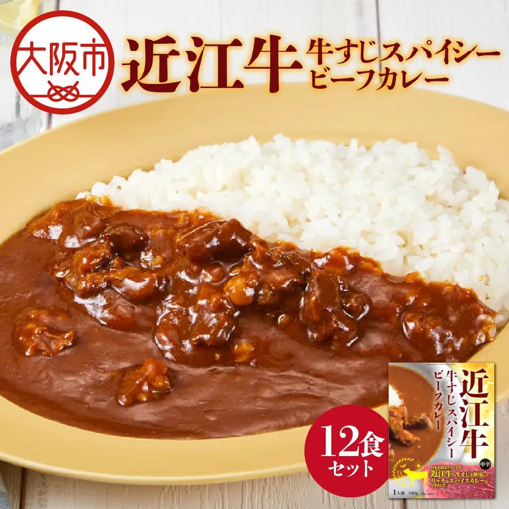 【 京阪百貨店厳選 】近江牛すじスパイスカレー160ｇ×12食セット 牛すじカレー_OS048-0062-03