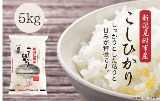 令和7年産 新潟見附市産コシヒカリ5kg