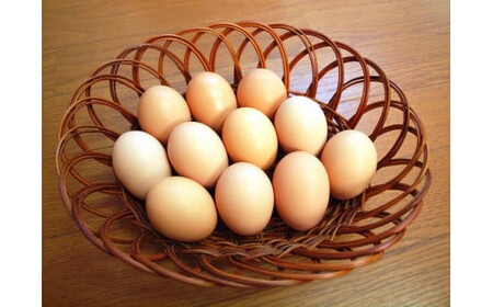 33-H　【卵かけご飯セット～山塩たれ付き～】　平飼い会津地鶏の卵《定期便》生卵４５個、卵かけご飯用山塩タレ２０個×６か月※沖縄・離島への配送不可 ※2023年11月頃より順次発送予定