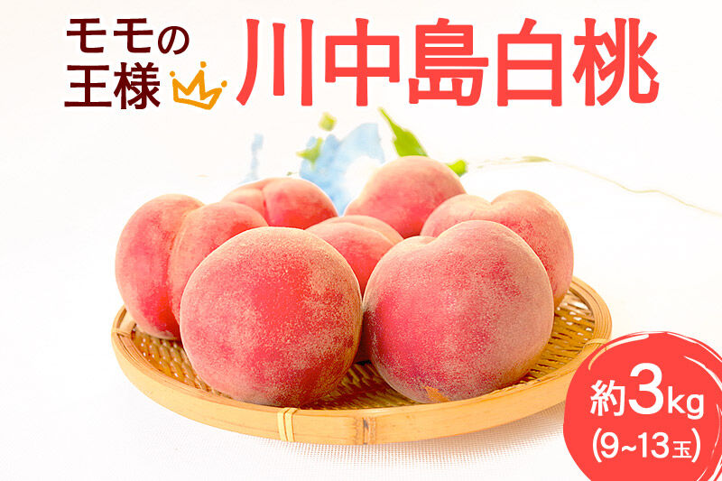 モモの王様 川中島白桃 約3kg（9～13玉前後） [もも モモ 白桃 はくとう 果物 フルーツ 産地直送 お取り寄せ]