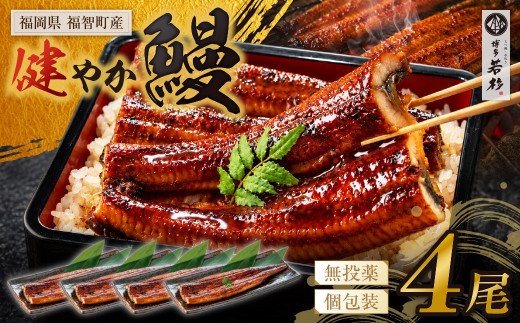 AA61-69 健やか鰻 国産うなぎ蒲焼（無頭）4尾（計620g以上） 九州産 国産鰻 うなぎ ウナギ 鰻 人気 おすすめ ひつまぶし 鰻 蒲焼き タレ 山椒 ランキング 鰻 冷凍 うな重 ひつまぶし うなぎ 福智町 鰻蒲焼き うな丼 丑の日