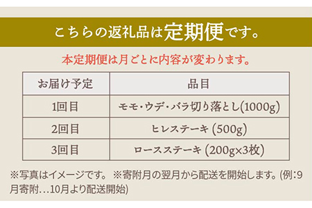 【肉のプロが厳選！】【全3回】佐賀牛 贅沢定期便 /肉 牛肉 佐賀牛 佐賀県産和牛 ブランド牛肉 肉 牛肉 佐賀牛 国産牛肉 上質な肉質 贅沢な牛肉 肉 牛肉 定期便 佐賀牛 佐賀県産和牛 ブランド牛
