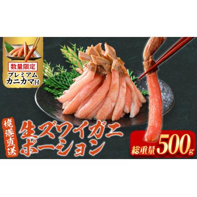 ふるさと納税 境港市 刺身OK!生ズワイガニ 棒ポーション 総重量 500g(15本〜30本)