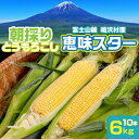 【ふるさと納税】＜25年発送先行予約＞富士山麓 鳴沢村産 朝採り とうもろこし【恵味スタ－】10本 ふるさと納税 とうもろこし トウモロコシ コーン 野菜 山梨県 鳴沢村 送料無料 NSH004