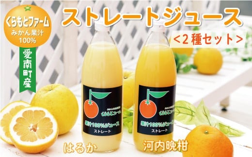 
										
										みかん 果汁 100% ストレート ジュース 2本 セット （ 1000ml × 2本 ） はるか 河内晩柑 愛南ゴールド 7000円 数量限定 期間限定 高級 贈答 ギフト プレゼント 母の日 敬老の日 父の日 おやつ 国産 フルーツ 果物 柑橘 産地直送 農家直送 特産品 完熟 濃厚 人気 限定 甘い こどもの日 ジューシー 新鮮 果実 さわやか 愛媛県 愛南町 くらもとファーム
									