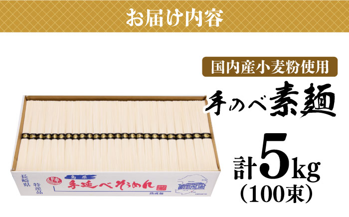 【手のべ陣川】 島原 手延べ そうめん 5kg / S-50 / そうめん 島原そうめん 手延べ 麺 素麺 / 南島原市 / ながいけ [SCH022]