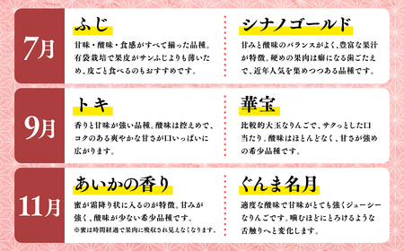 【7月発送開始】隔月配送　定期便3回　特選　甚八りんご　５kg　【青森県 平川市 マルジンサンアップル】1月 3月 5月 7月 9月 11月贈答用 青森 青森県産 平川 りんご リンゴ 林檎 くだもの